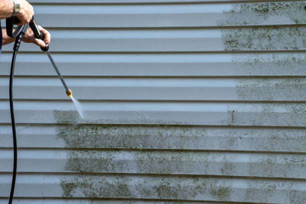 Affordable siding repair and maintenance services in Foothill Farms, CA