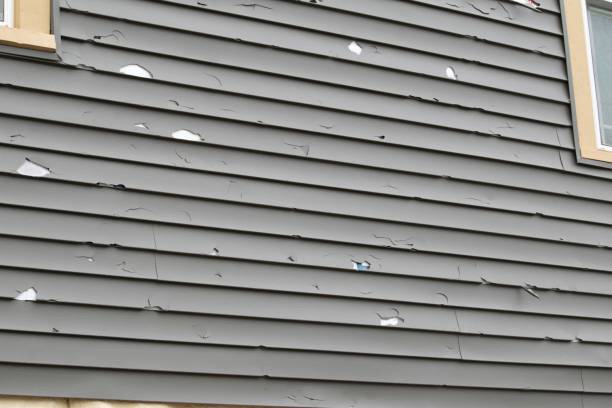 Best Steel Siding Installation  in Foothill Farms, CA